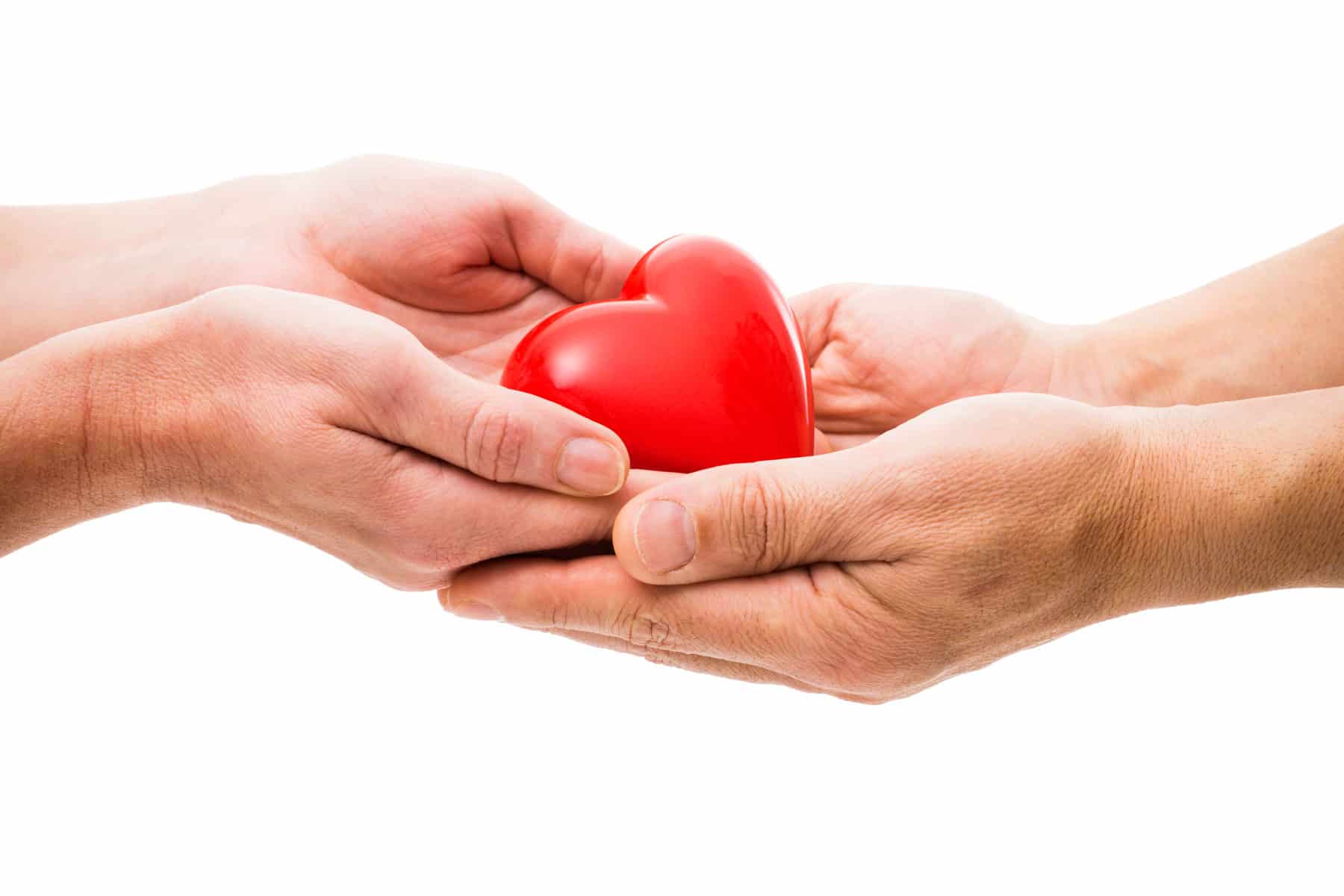 Donazione organi: tutto quello che c’è da sapere